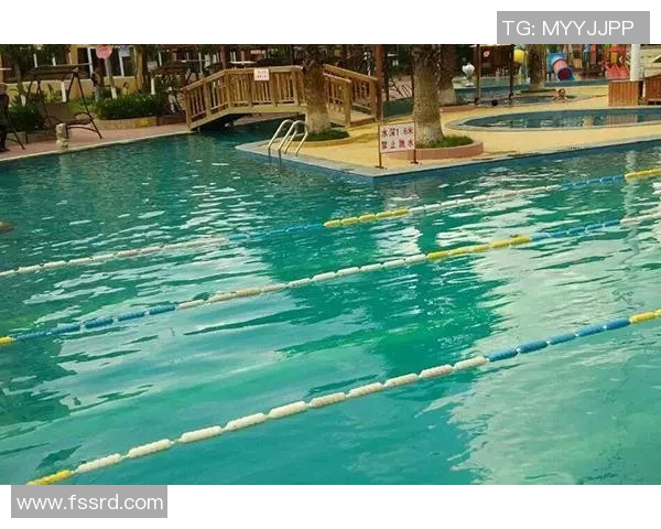 成都极限运动队技术对比分析揭示运动员实力与训练方法的差异