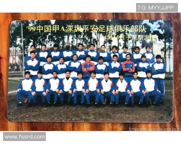 深圳排球队的蜕变之旅：从传统强队到现代化竞技新标杆